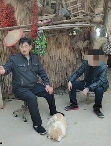 大衣哥小洲爆料视频,独家爆料视频背后的故事